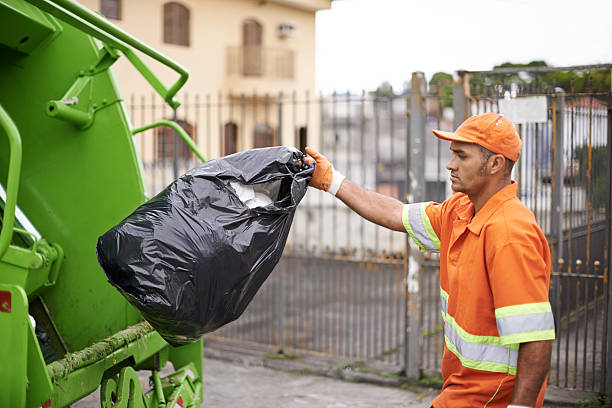 Yard Cleanup Services in Berkshire Lakes, FL